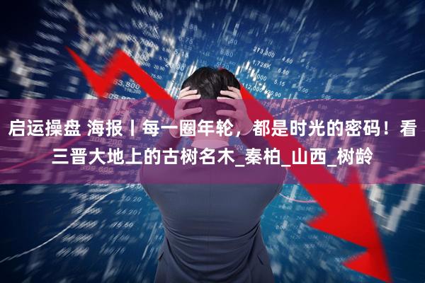 启运操盘 海报丨每一圈年轮，都是时光的密码！看三晋大地上的古树名木_秦柏_山西_树龄